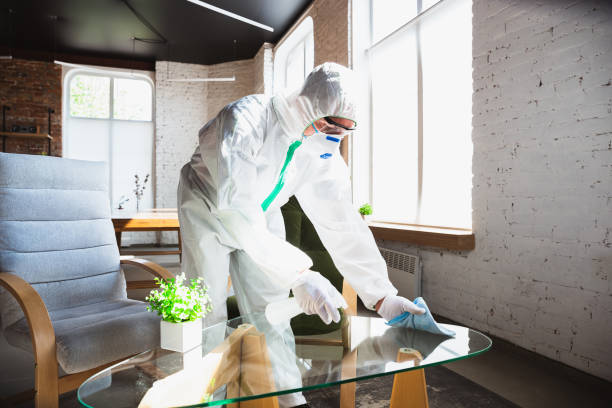 Best Mold Remediation for Rental Properties  in USA